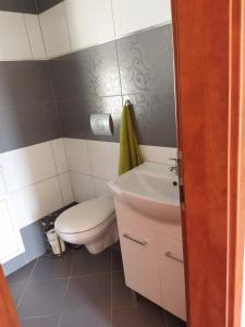 Kúpeľňa v ubytovaní Apartmán Pavlík