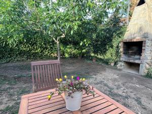 Zahrada ubytování Casa rural lo Maset de Carmeta