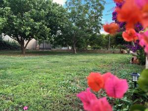 Zahrada ubytování Casa rural lo Maset de Carmeta