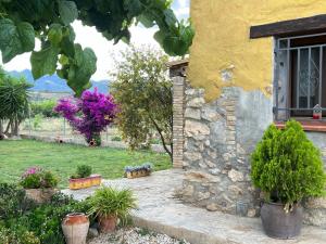 Zahrada ubytování Casa rural lo Maset de Carmeta