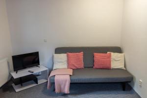 TV a/nebo společenská místnost v ubytování Apartmány U Pivoněk