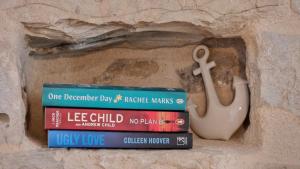 Knihovna v apartmánu + 37 fotografií