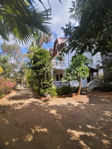 a large white house with trees in front of it at Louisiana Guest House in Ambohibao