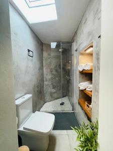 a bathroom with a toilet and a shower at Serenity Luxury Apartment in Symi +18 photos