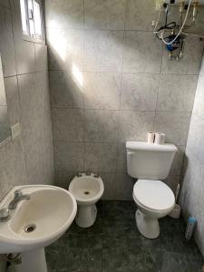 a bathroom with a white toilet and a sink at Monoambiente Acantilados Single fin a 5 cuadras de la playa in Mar del Plata
