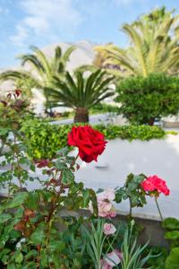Giardino di Makarios Hotel