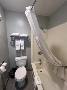 a bathroom with a toilet and a tub and a shower at AmericInn by Wyndham Glendale Milwaukee in Glendale
