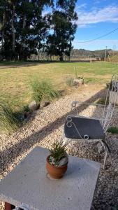 a bench and a table with a plant in a pot at Casita Petra in Tandil