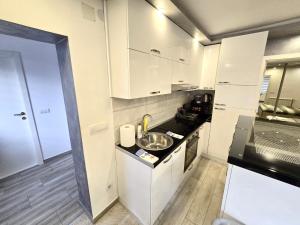 a small white kitchen with a sink and a stove at Sasa Plus in Bajina Bašta +29 photos
