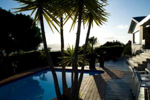 a pool with palm trees next to a house at Candlewood Lodge in Knysna