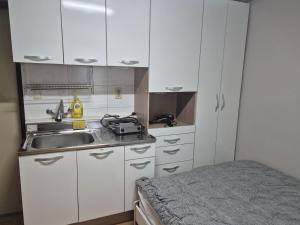 Kuchyň nebo kuchyňský kout v ubytování Petit House