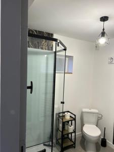 a bathroom with a toilet and a glass shower at Maisonnette Saint Marcel Le petit Pitolat in Saint-Marcel