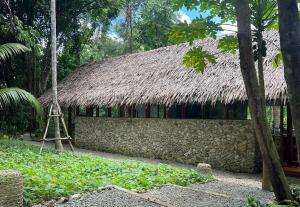 a building with a thatched roof and a tripod at Dalakit House Hidden Gem, Tranquility Nearby town in Siquijor