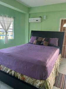 MicoudにあるDave's Three Bedroom Apartment 758の紫色の掛け布団が備わるドミトリールームのベッド1台分です。