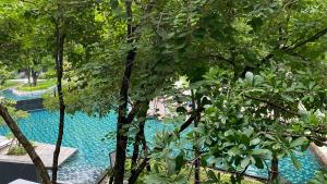 a swimming pool surrounded by trees and blue water at CK cottage @ Khao Yai in Pak Chong