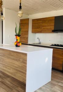 Η κουζίνα ή μικρή κουζίνα στο House Green el cafetal
