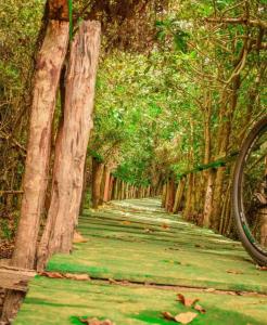 Berbasikal di atau sekitar Vikindu forest campsite