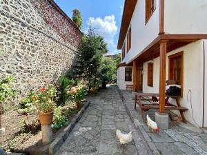 a courtyard of a building with chickens walking around it at Asiye Hanım Konağı in Trabzon
