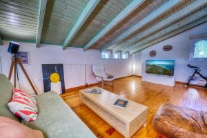 TV a/nebo společenská místnost v ubytování Mavres Luxury Loft