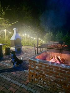 a dog sitting next to a brick fire pit at Domki Zew Natury in Lesko +48 photos