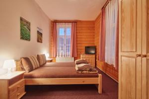 a bedroom with a bed and a tv and a window at Penzion Flora in Janske Lazne