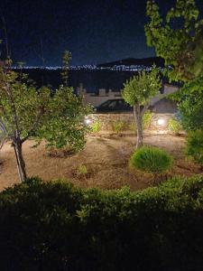 a garden at night with trees and lights at Calma in Perdika