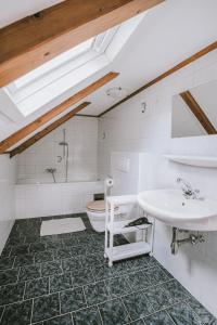 a bathroom with a sink and a toilet at NaturparkResort Almmauer in Landl