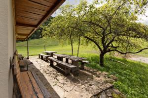 a group of picnic tables and a tree in a field at Natura Planinca in Kalobje