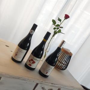 Nápoje v ubytování Escale au Salagou