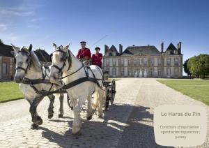 two people riding on a horse drawn carriage in front of a castle at La maison de Méguillaume proche Haras du Pin - 5 pers in Gouffern en Auge