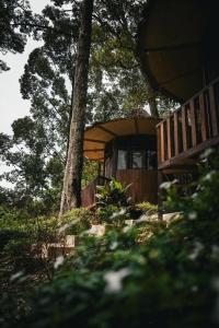 a house with a tree in front of it at Eco Conservation Landak Luxury Tents in Bukit Lawang