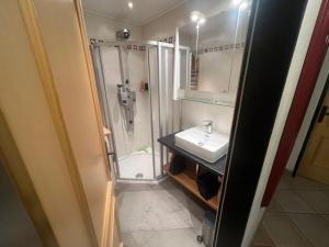 ein kleines Badezimmer mit Dusche und Waschbecken in der Unterkunft Chalet Alpine Royal A Top 1 in Krimml