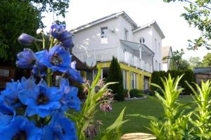 Gallery image of Gartenappartement Ybbs in Ybbs an der Donau