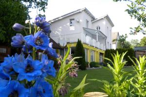 Taman di luar Gartenappartement Ybbs