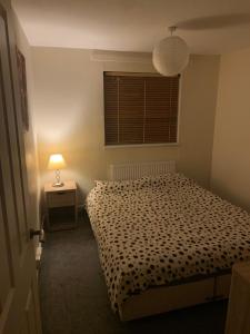 a bedroom with a bed and a lamp and a window at Double room Eastbourne in Polegate