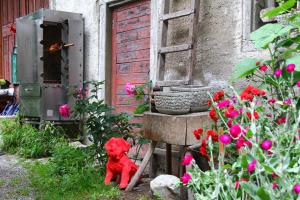 Zahrada ubytování Burghof Wallhausen