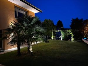 a palm tree in the yard of a house at night at Residenza San Remy Hundefreundliche Ferienwohnung mit Whirlpool in Unterkulm