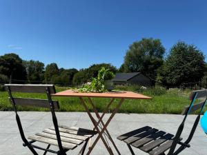 a table with two chairs and a plant on it at Chez Raoul - Ancienne Grange in Nivelles