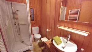 a bathroom with a shower toilet and a sink at Chalet Les Rennes REN MOUNTAIN & NATURE 10 Pers in Châtel