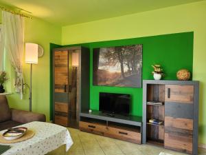 a living room with a tv and a green wall at Ferienwohnung Panorama in Schmalkalden