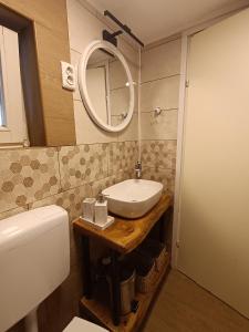 a bathroom with a sink and a mirror at Galoma Korana in Gornji Velemerić +32 photos