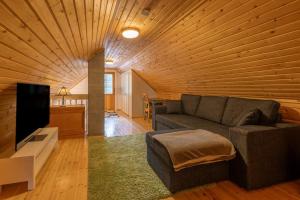a living room with a couch and a television at Rovankoto by Hi Ylläs in Ylläsjärvi