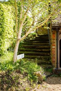 Κήπος έξω από το Charming Countryside Annexe Nr Goodwood