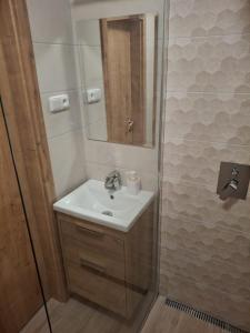 Koupelna v ubytování Apartmán u Rákosníčka
