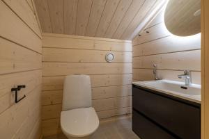 a bathroom with a toilet and a sink at Villa Sylvi by Hi Ylläs in Äkäslompolo +31 photos