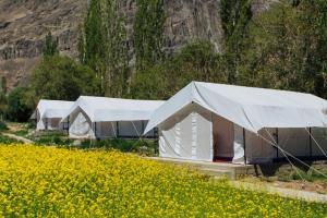 three white tents in a field of yellow flowers at Magpie Camp Ladakh by LexStays in Leh +22 photos