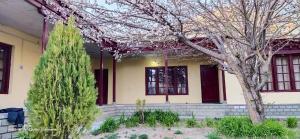 a house with a flowering tree in front of it at Royal Mount Guest House Ladakh by LexStays in Leh