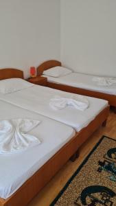 Φωτογραφία από το άλμπουμ του Vila turistica UDREA σε Eforie Sud +15 φωτογραφίες