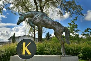 Φωτογραφία από το άλμπουμ του K-Stables σε Troisvierges