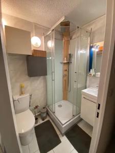 ein Badezimmer mit Dusche, Toilette und Waschbecken in der Unterkunft Studio chaleureux à Villarembert, 22 m², proche des pistes in Villarembert